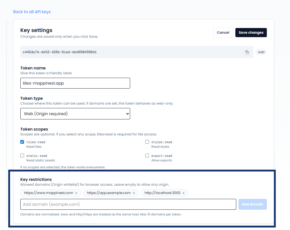 Domain restrictions and CORS settings in API key form